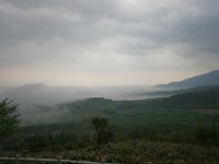 img (51)